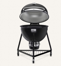 weber grill faszenes summit kamado 18201004