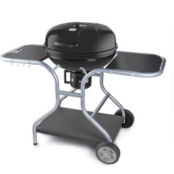 fieldmann faszenes grill fzg 1014