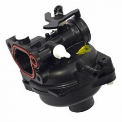 karburátor briggs 799584