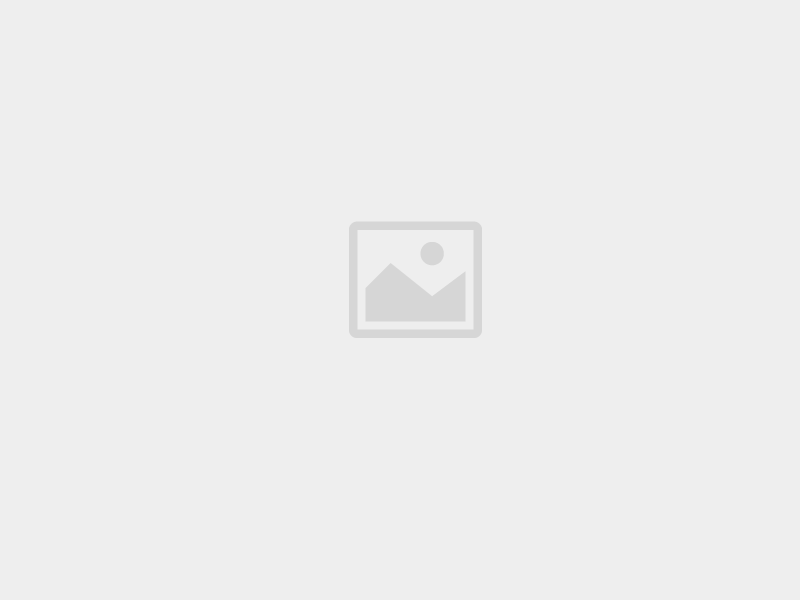 bellota machete 304mm tokkal b465-12pbma